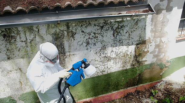 Trusted Mold Testing service in Bedford, PA - Cheap Mold Removal